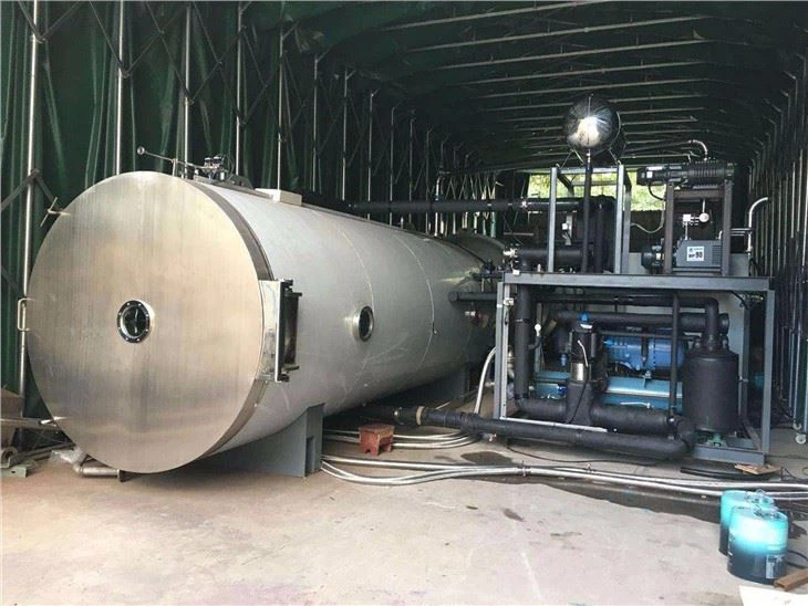 Raspberry Freeze Drying Process Freeze Dryer Machine