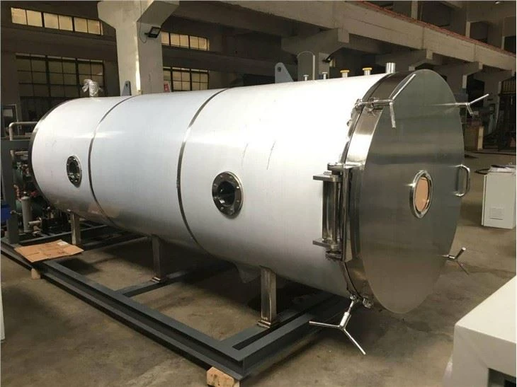 Laboratory Freeze Dryer in China
