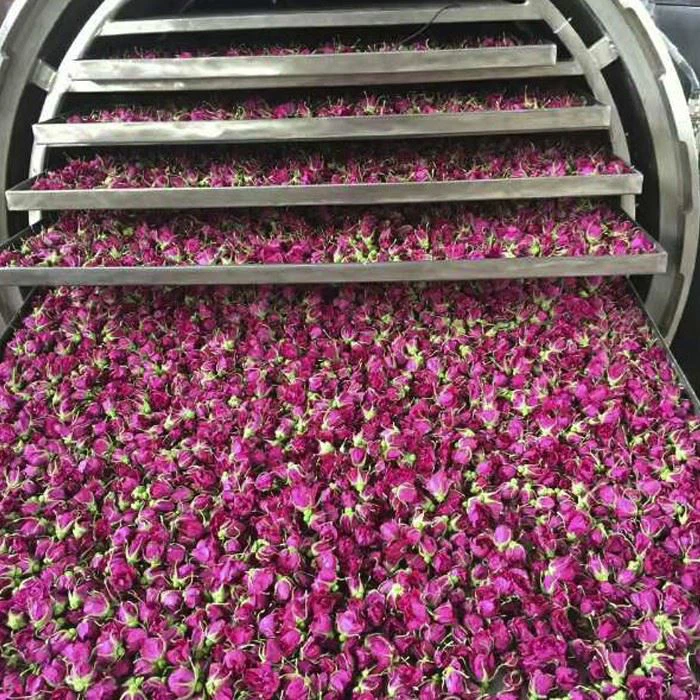 Rose Freeze-drying Machine