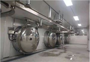 Aginomoto A Sychwr Rhewi Diwydiannol Siwgr Gronynnog